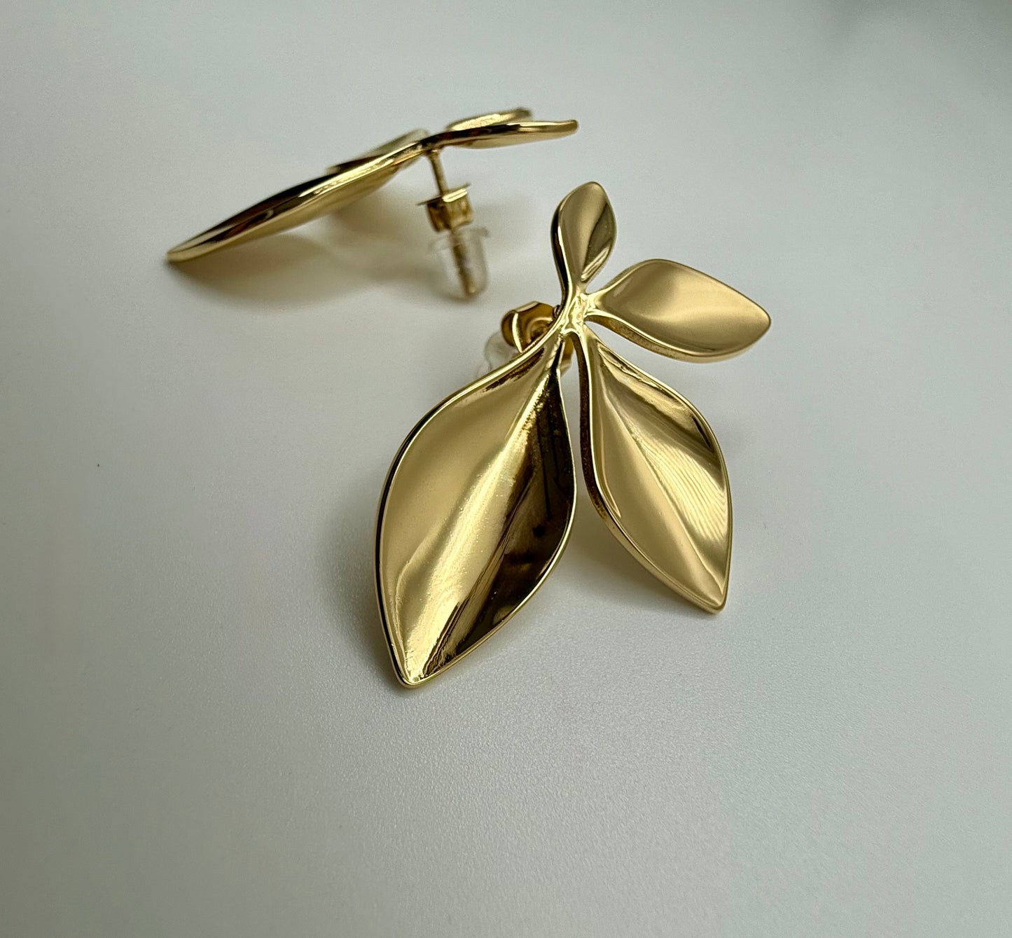 Leaves