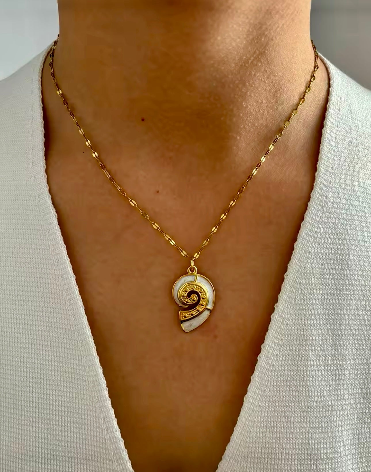 Conch 3