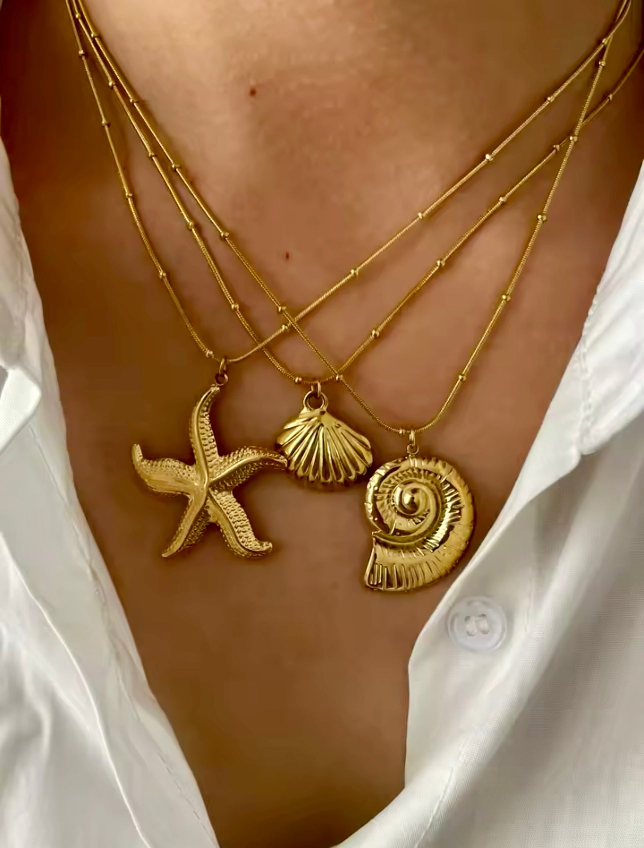 Starfish 6