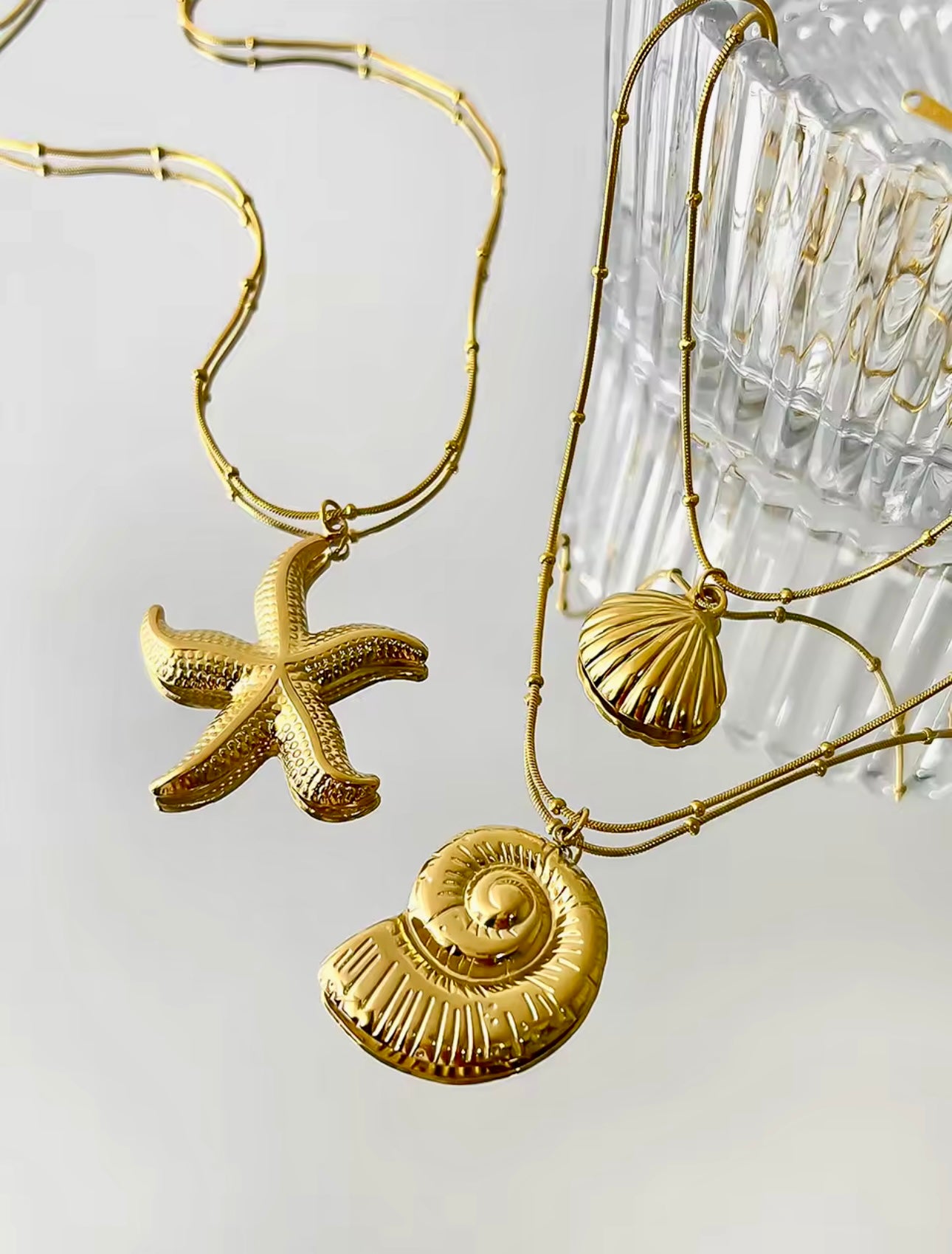 Scallop