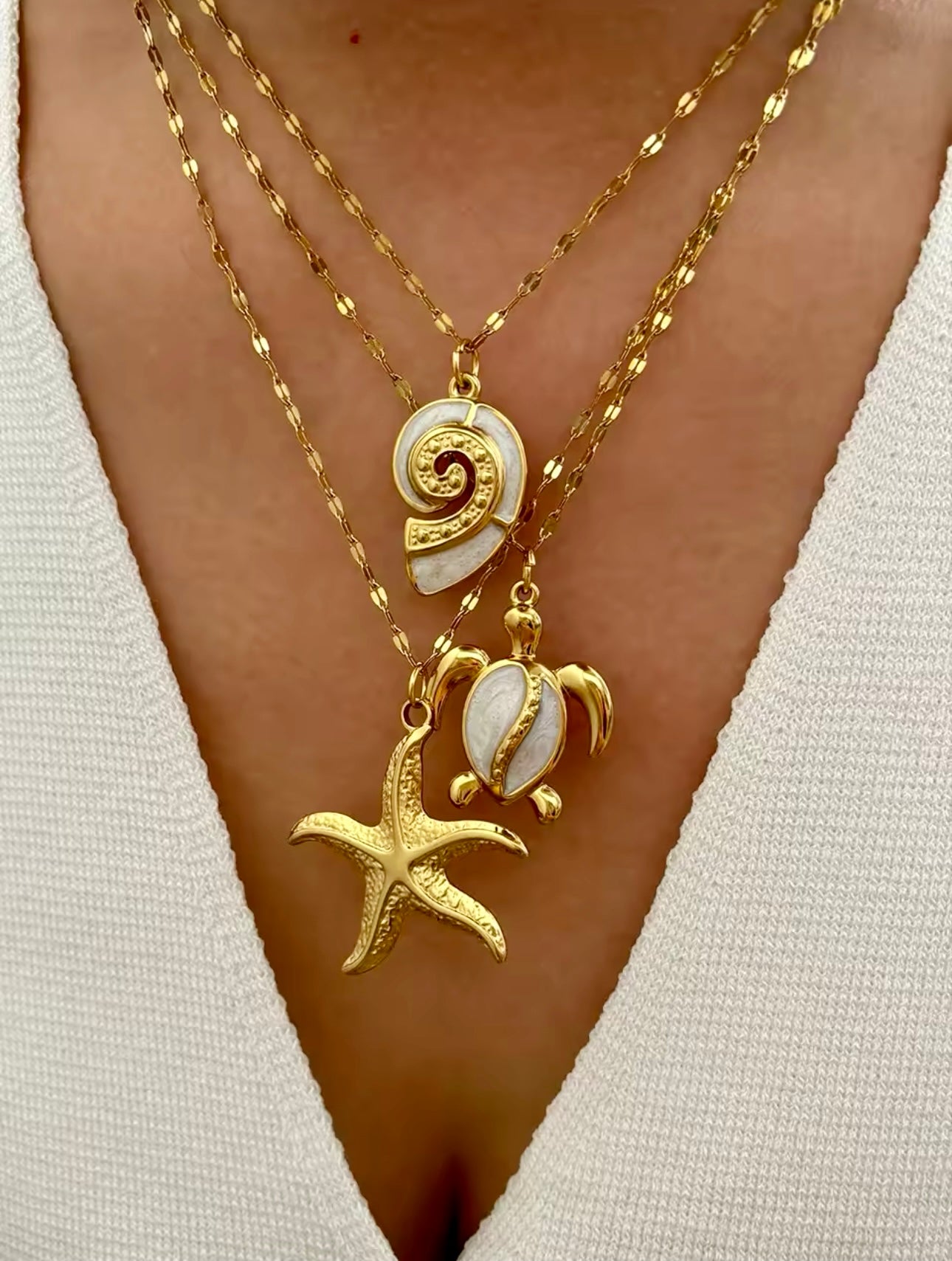 Starfish 5