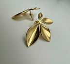 Leaves