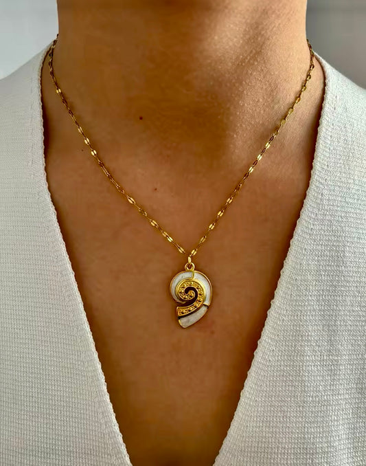 Conch 3