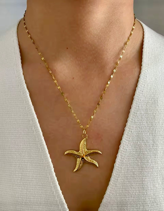 Starfish 5