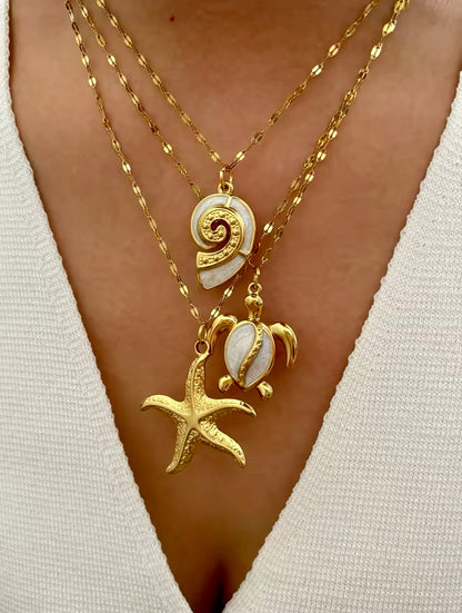 Starfish 5