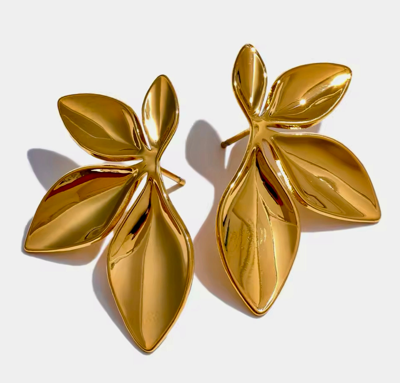 Leaves
